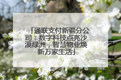 通联支付新疆分公司：数字科技点亮沙漠绿洲，智慧物业焕新万家生活