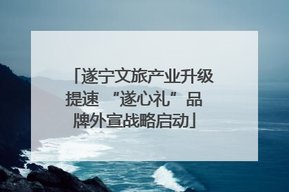 遂宁文旅产业升级提速 “遂心礼”品牌外宣战略启动