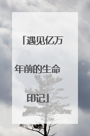 遇见亿万年前的生命印记