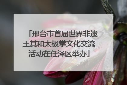 邢台市首届世界非遗王其和太极拳文化交流活动在任泽区举办