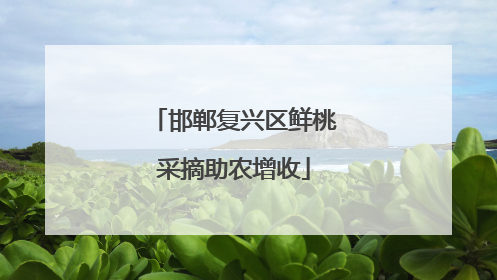 邯郸复兴区鲜桃采摘助农增收
