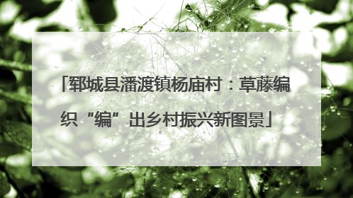 郓城县潘渡镇杨庙村：草藤编织“编”出乡村振兴新图景