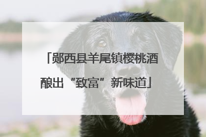 郧西县羊尾镇樱桃酒酿出“致富”新味道