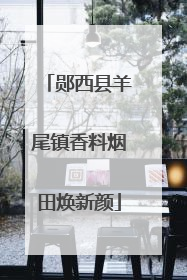 郧西县羊尾镇香料烟田焕新颜