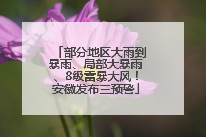 部分地区大雨到暴雨、局部大暴雨、8级雷暴大风！安徽发布三预警