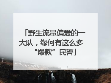 野生流量偏爱的一大队，缘何有这么多“爆款”民警