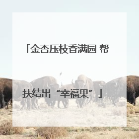 金杏压枝香满园 帮扶结出“幸福果”