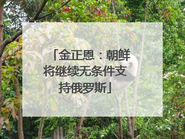 金正恩：朝鲜将继续无条件支持俄罗斯