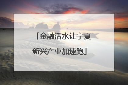 金融活水让宁夏新兴产业加速跑