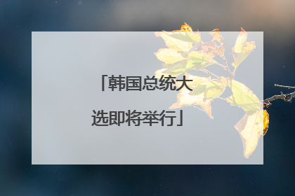韩国总统大选即将举行