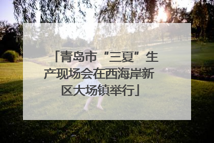 青岛市“三夏”生产现场会在西海岸新区大场镇举行