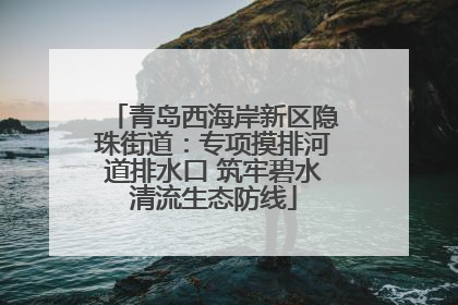 青岛西海岸新区隐珠街道：专项摸排河道排水口 筑牢碧水清流生态防线