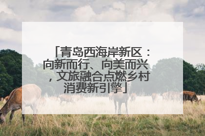 青岛西海岸新区：向新而行、向美而兴，文旅融合点燃乡村消费新引擎