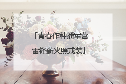青春作种播军营 雷锋薪火照戎装