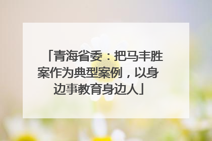 青海省委：把马丰胜案作为典型案例，以身边事教育身边人