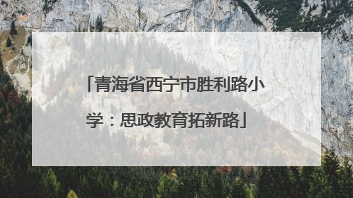 青海省西宁市胜利路小学：思政教育拓新路