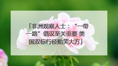 非洲观察人士：“一带一路”倡议至关重要 美国双标行径贻笑大方