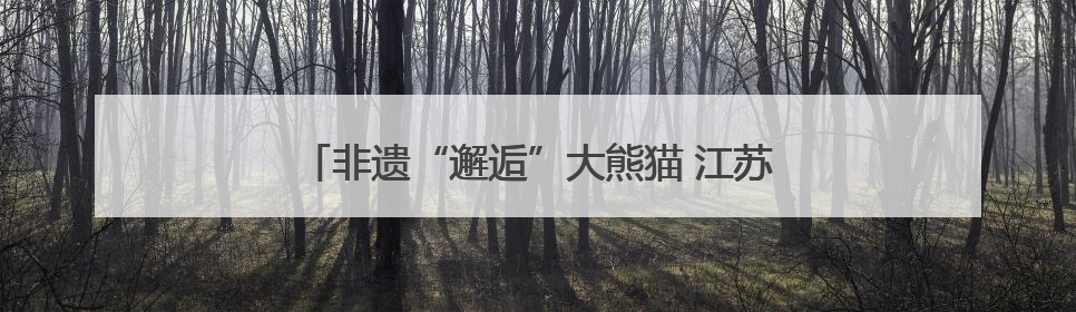 非遗“邂逅”大熊猫 江苏无锡博物院解锁文化新体验