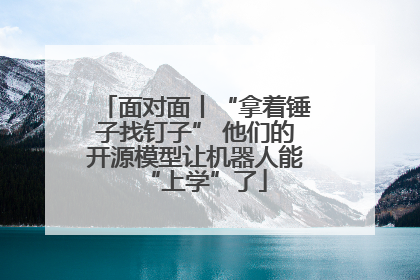 面对面丨“拿着锤子找钉子” 他们的开源模型让机器人能“上学”了