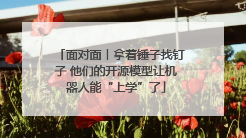 面对面丨拿着锤子找钉子 他们的开源模型让机器人能“上学”了