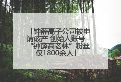 钟薛高子公司被申请破产 创始人账号“钟薛高老林”粉丝仅1800余人