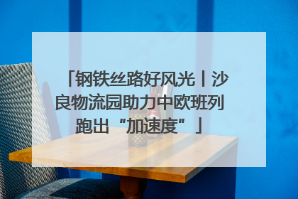 钢铁丝路好风光丨沙良物流园助力中欧班列跑出“加速度”