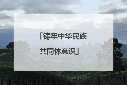铸牢中华民族共同体意识