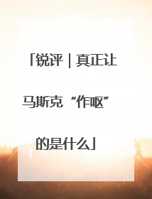 锐评｜真正让马斯克“作呕”的是什么