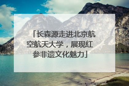 长森源走进北京航空航天大学，展现红参非遗文化魅力