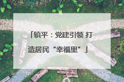 镇平：党建引领 打造居民“幸福里”