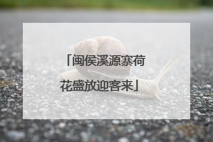 闽侯溪源寨荷花盛放迎客来