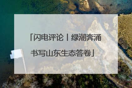 闪电评论丨绿潮奔涌 书写山东生态答卷