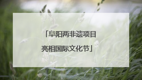 阜阳两非遗项目亮相国际文化节