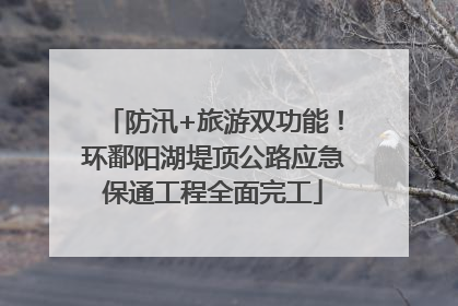 防汛+旅游双功能！环鄱阳湖堤顶公路应急保通工程全面完工