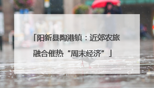 阳新县陶港镇：近郊农旅融合催热“周末经济”