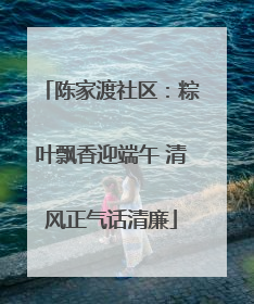 陈家渡社区：粽叶飘香迎端午 清风正气话清廉