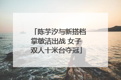 陈芋汐与新搭档掌敏洁出战 女子双人十米台夺冠
