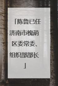 陈鲁已任济南市槐荫区委常委、组织部部长