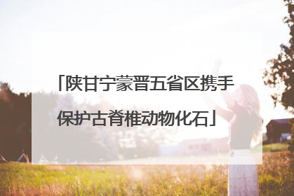 陕甘宁蒙晋五省区携手保护古脊椎动物化石