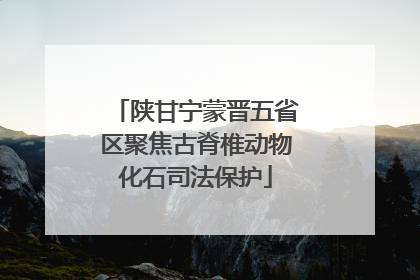 陕甘宁蒙晋五省区聚焦古脊椎动物化石司法保护