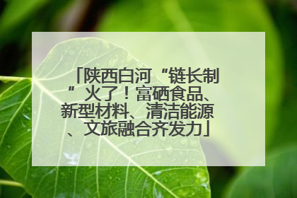 陕西白河“链长制”火了！富硒食品、新型材料、清洁能源、文旅融合齐发力