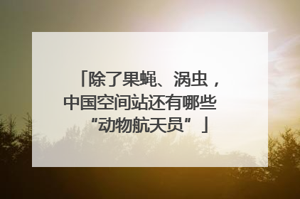 除了果蝇、涡虫，中国空间站还有哪些“动物航天员”