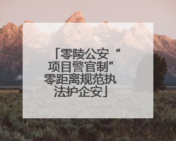 零陵公安“项目警官制”零距离规范执法护企安