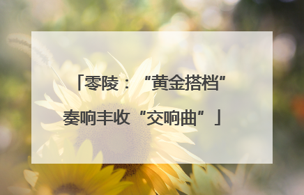 零陵：“黄金搭档”奏响丰收“交响曲”