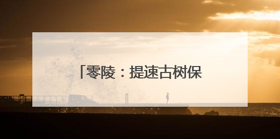 零陵：提速古树保护 留住绿色记忆