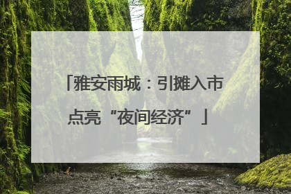 雅安雨城：引摊入市 点亮“夜间经济”
