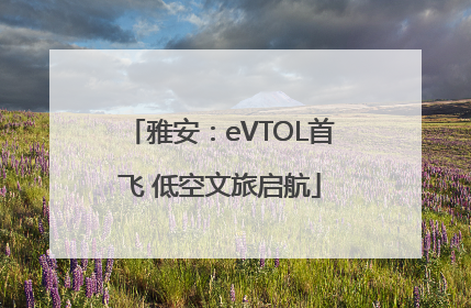 雅安：eVTOL首飞 低空文旅启航