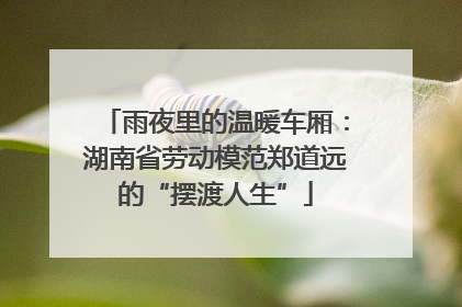 雨夜里的温暖车厢：湖南省劳动模范郑道远的“摆渡人生”