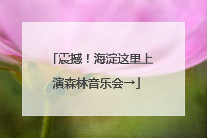 震撼！海淀这里上演森林音乐会→