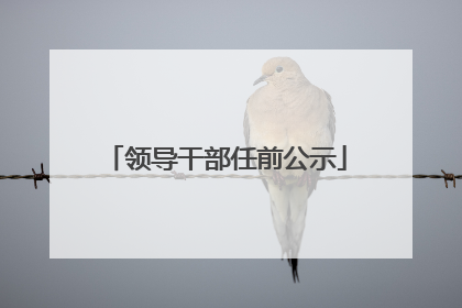 领导干部任前公示